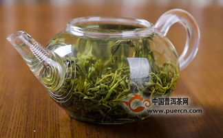 崂山绿茶与南方绿茶的不同